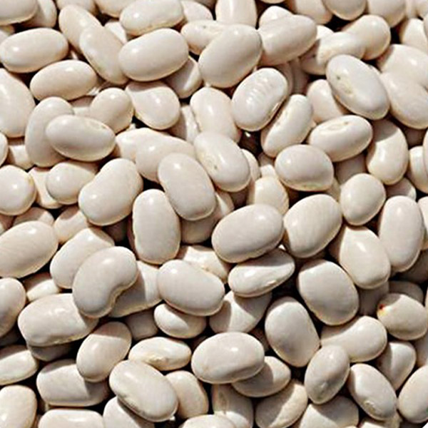 white kidney beans – RIZHAO HAOXIANG FOODS CO.,LTD